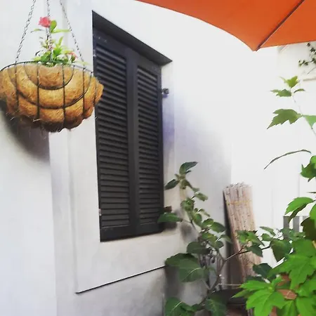 Apartman Frano *